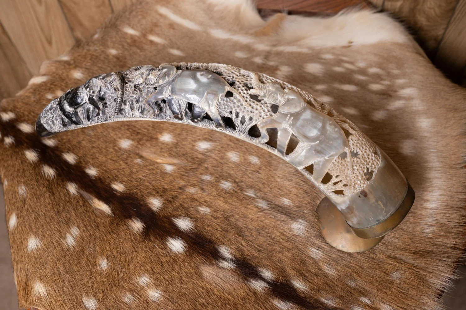 South African water buffalo horn with carvings, view 5
