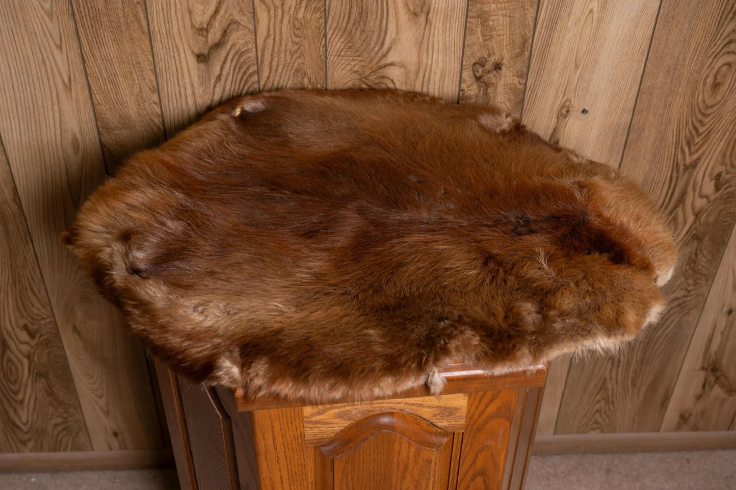 Beaver tanned hide, 30" x 24", view 2