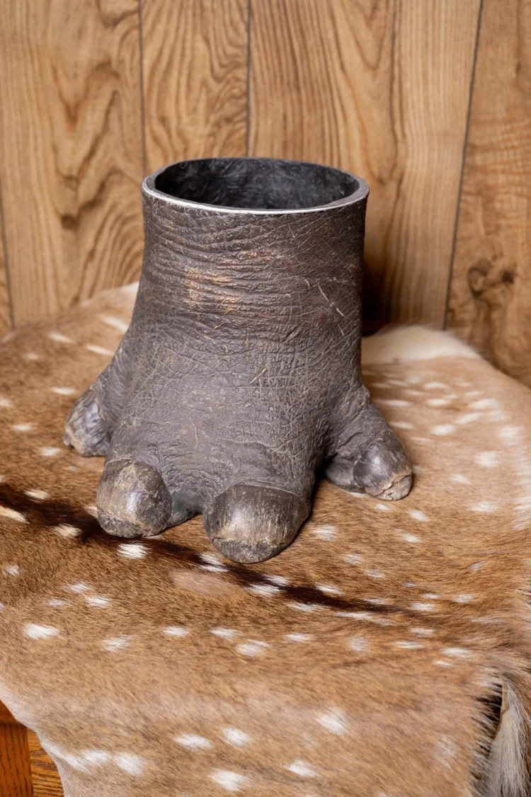 Hippo foot, 8" tall, 6" diameter
