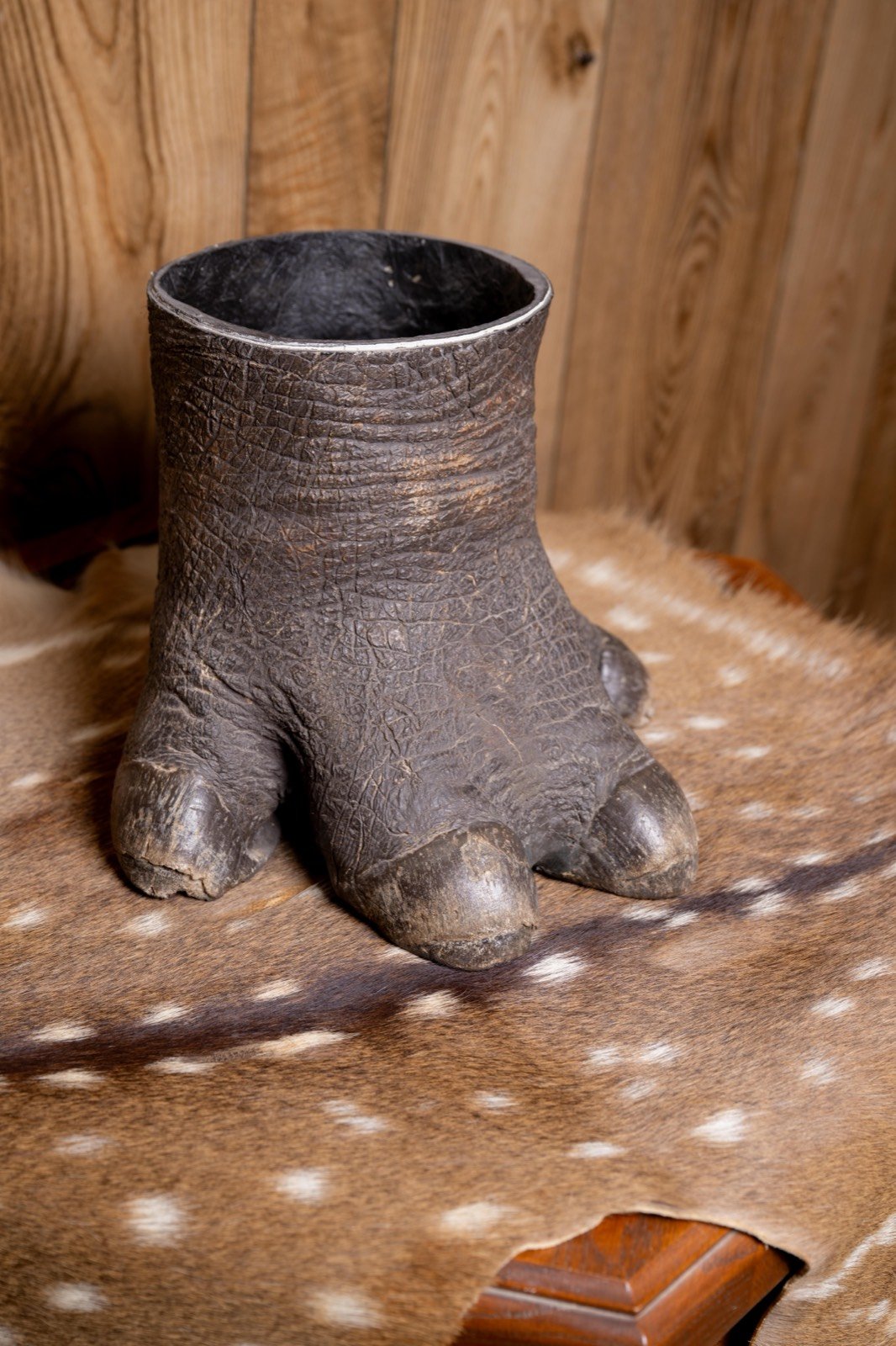 Hippo foot, 8" tall, 6" diameter, view 2
