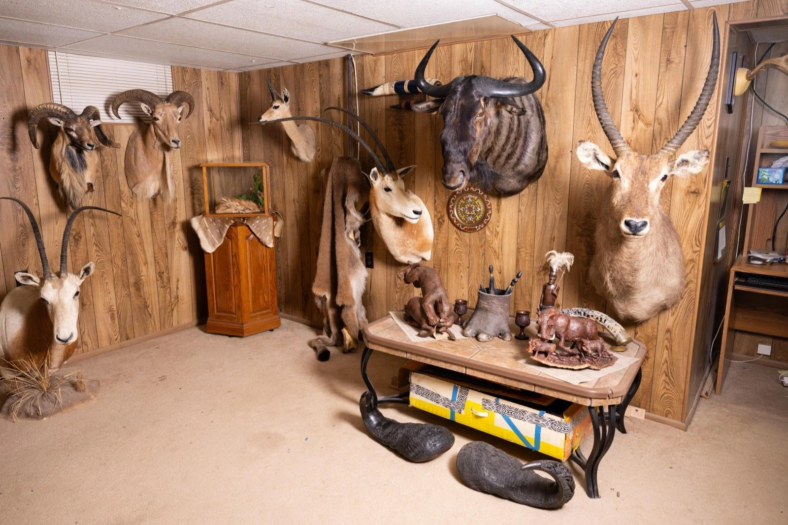 The collection room, mounts on all four walls