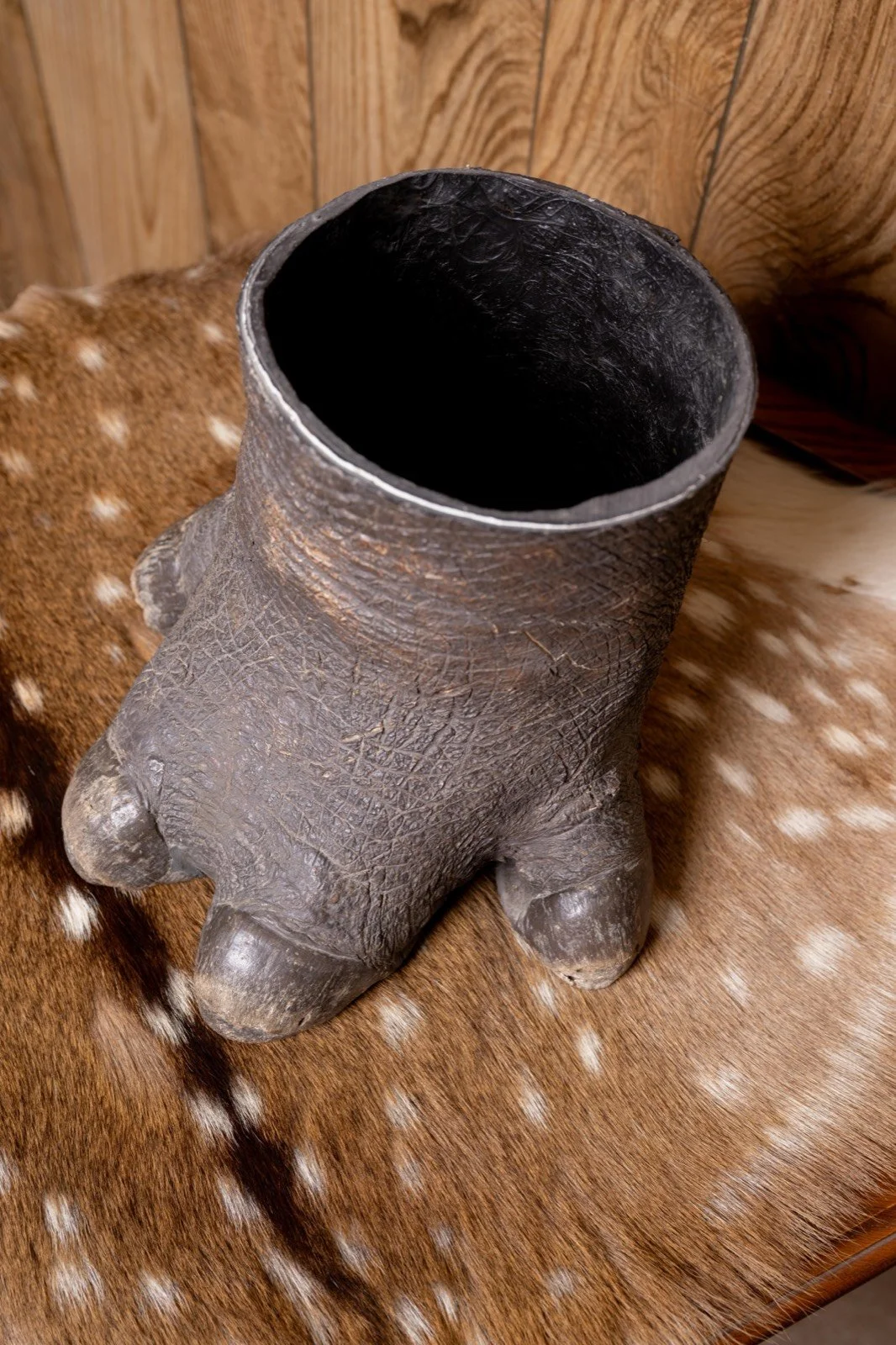 Hippo foot, 8" tall, 6" diameter, view 4