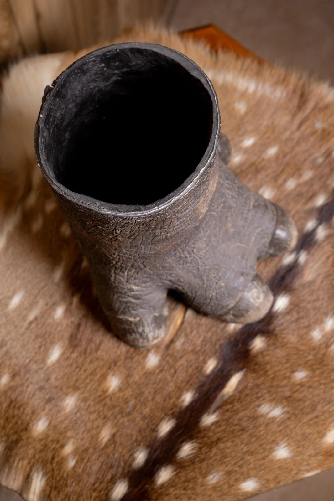Hippo foot, 8" tall, 6" diameter, view 3