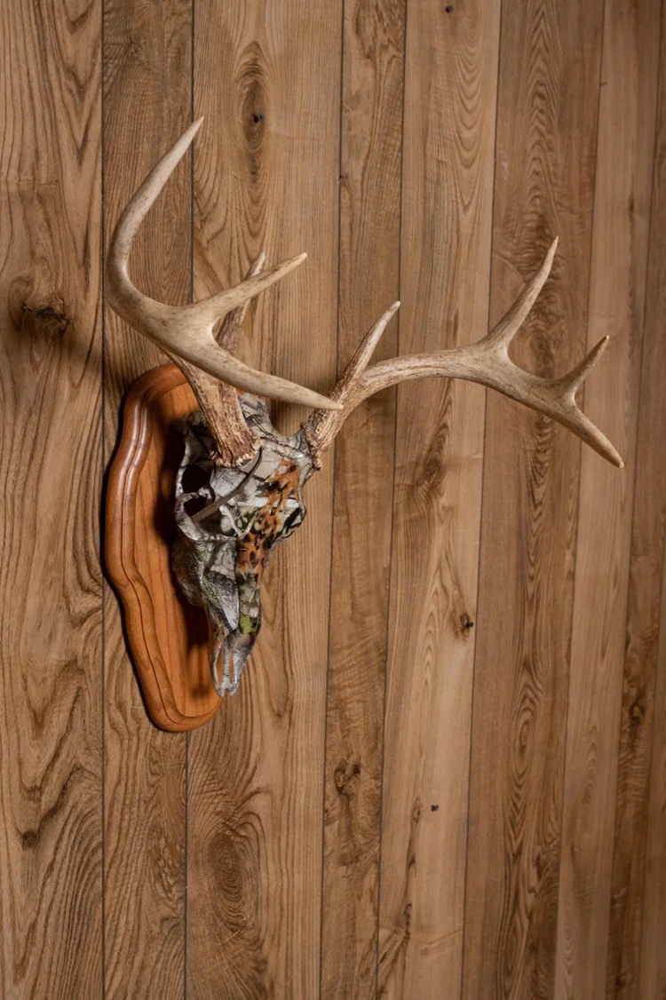 Camo-finished deer skull mount on oak panel, 8 point