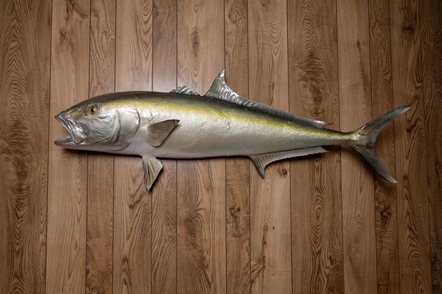 Jack Crevalle, 49", fiberglass reproduction, view 1