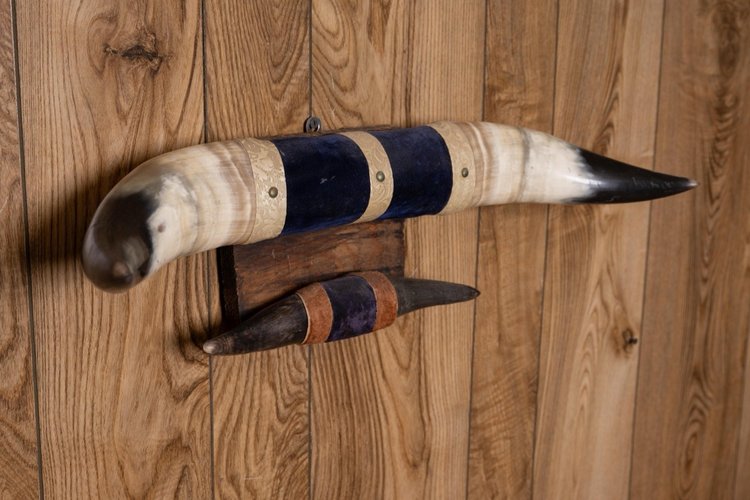 Steer horns mounted on panel, 24" and 12"