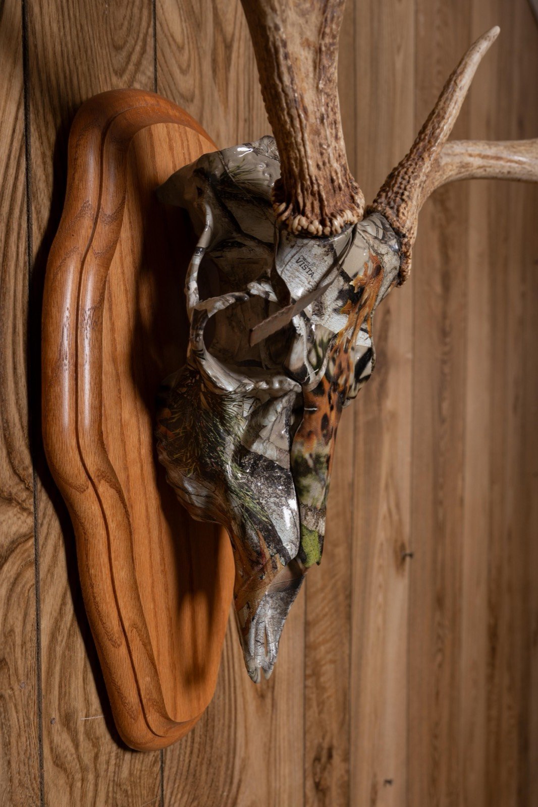 Camo-finished deer skull mount on oak panel, 8 point, view 3