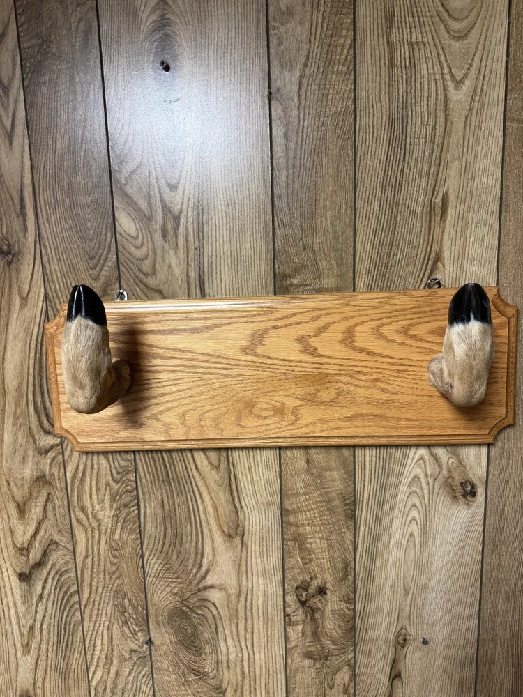 Deer foot gun rack