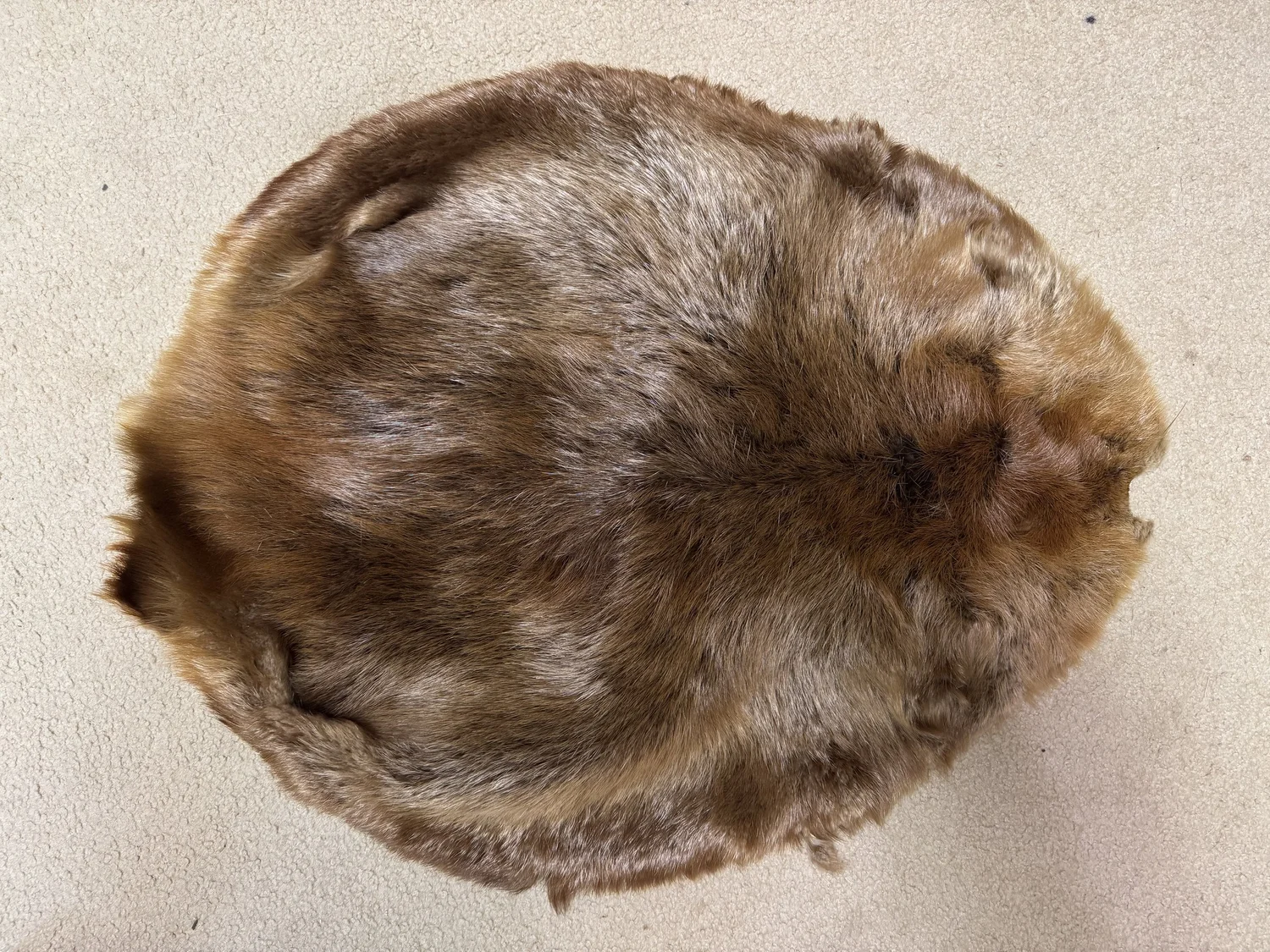 Beaver tanned hide, 30" x 24", view 1