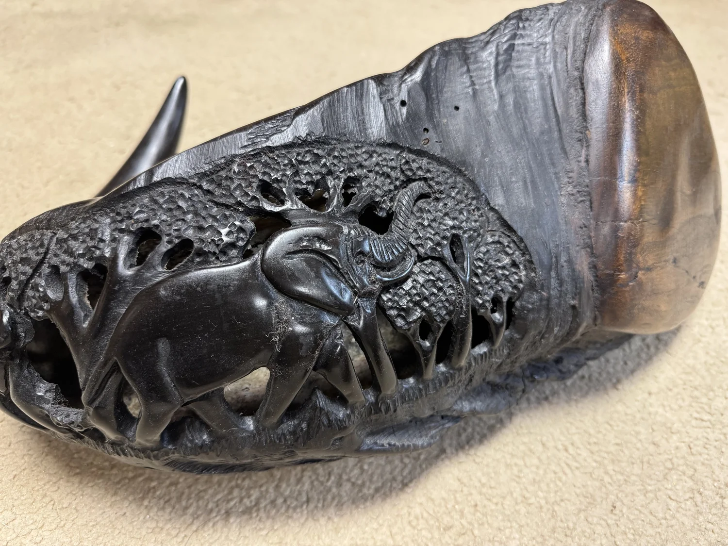Cape Buffalo horns, 22", with carvings, view 5