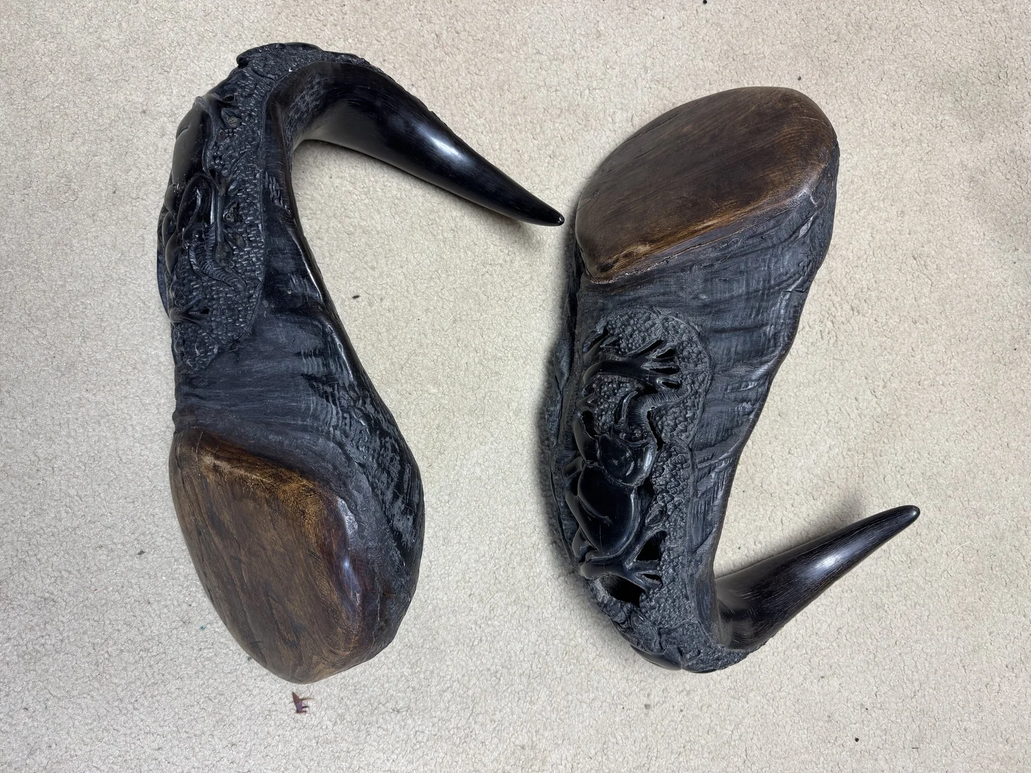 Cape Buffalo horns, 22", with carvings, view 4