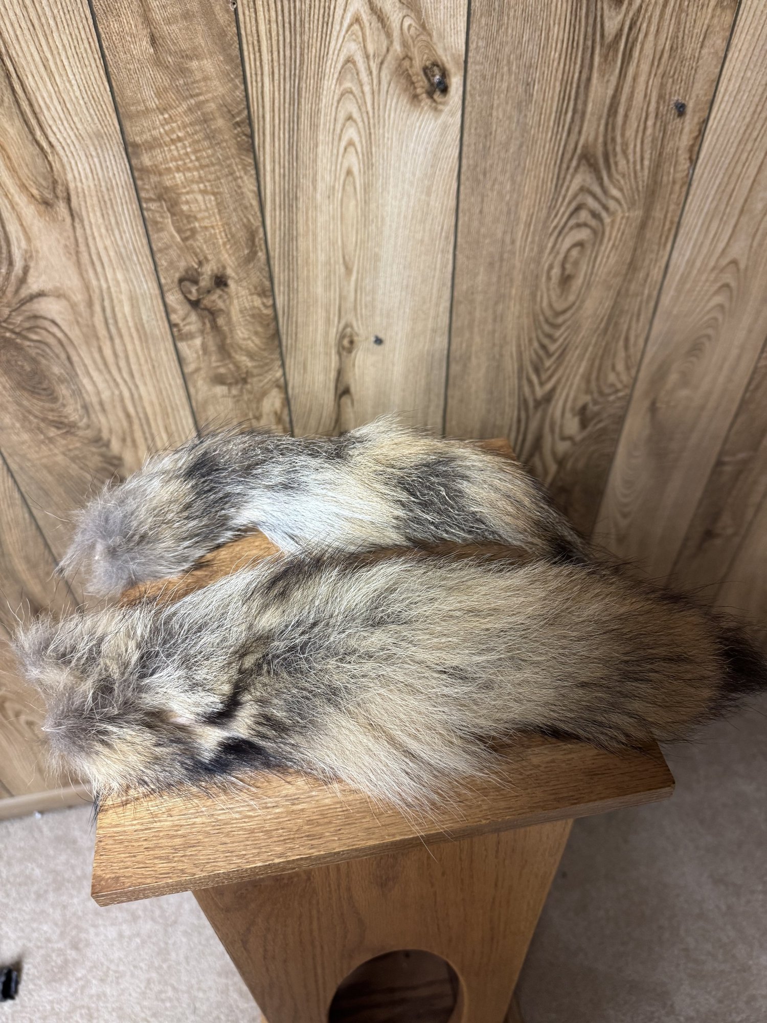 Coyote tails, small, pair, view 1