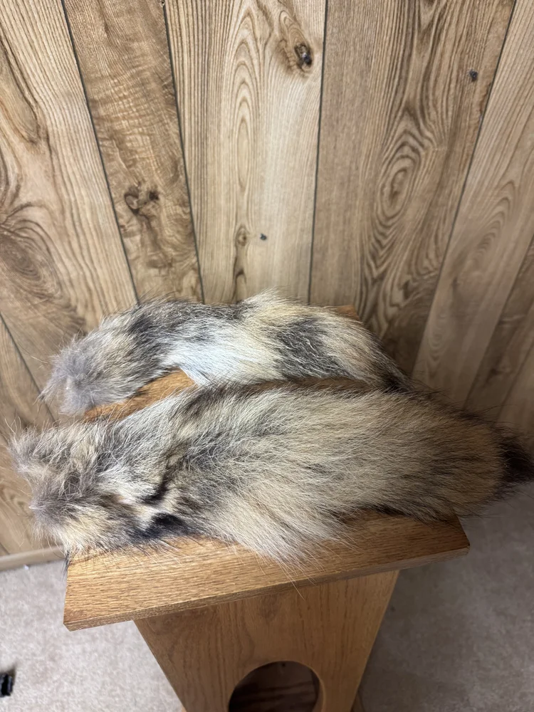 Coyote tails, small, pair