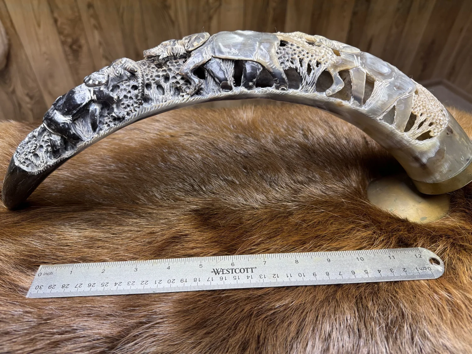 South African water buffalo horn with carvings, view 7