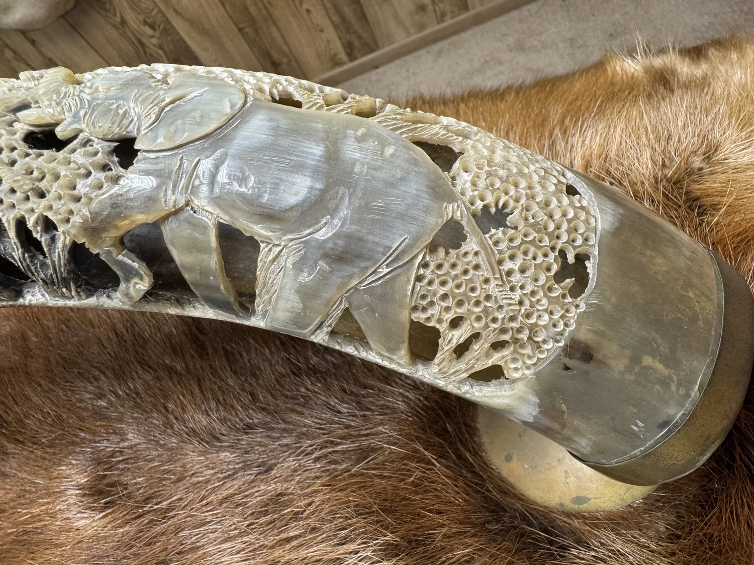 South African water buffalo horn with carvings, view 8