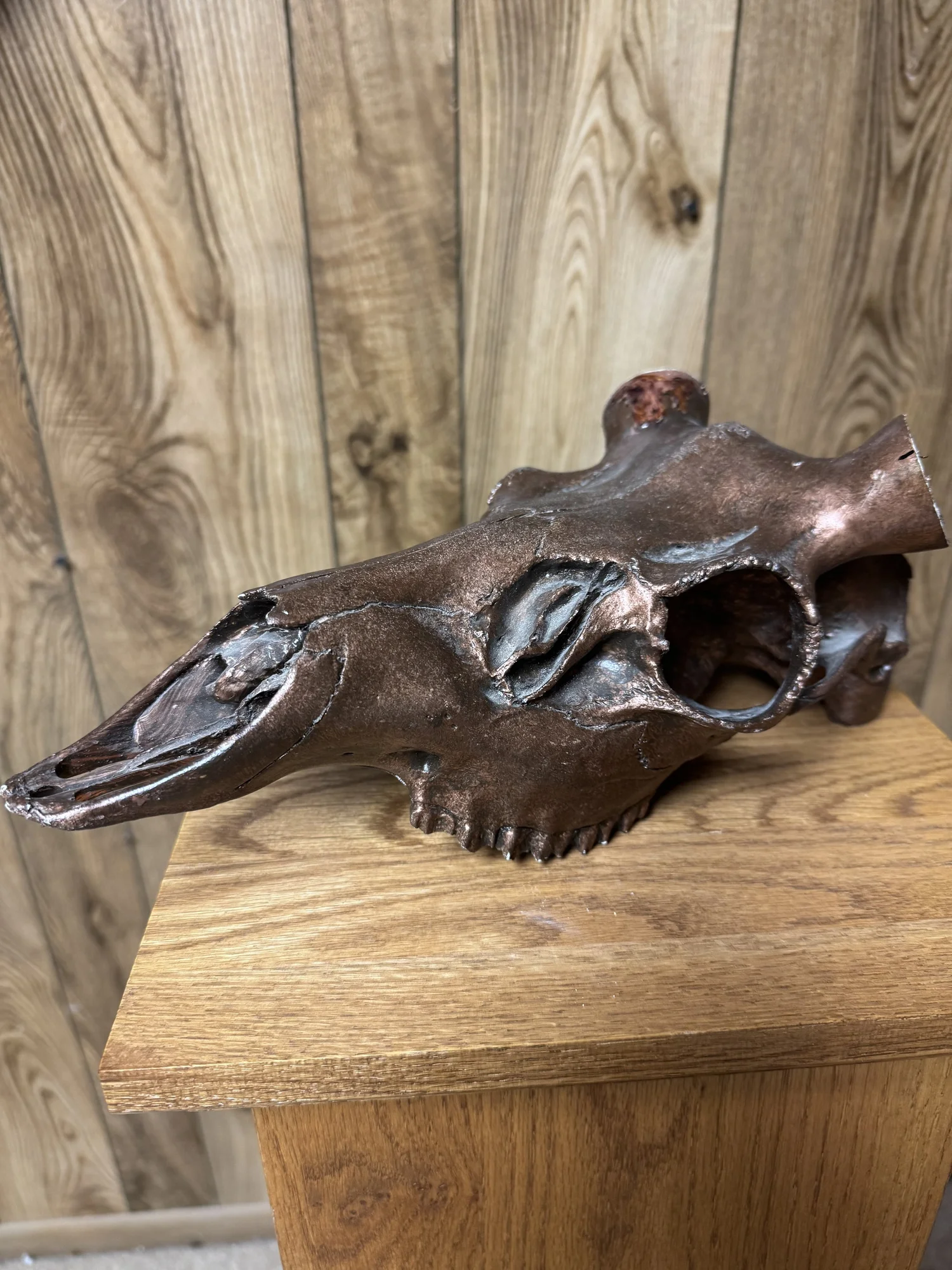 Bronze reproduction deer skull, view 1