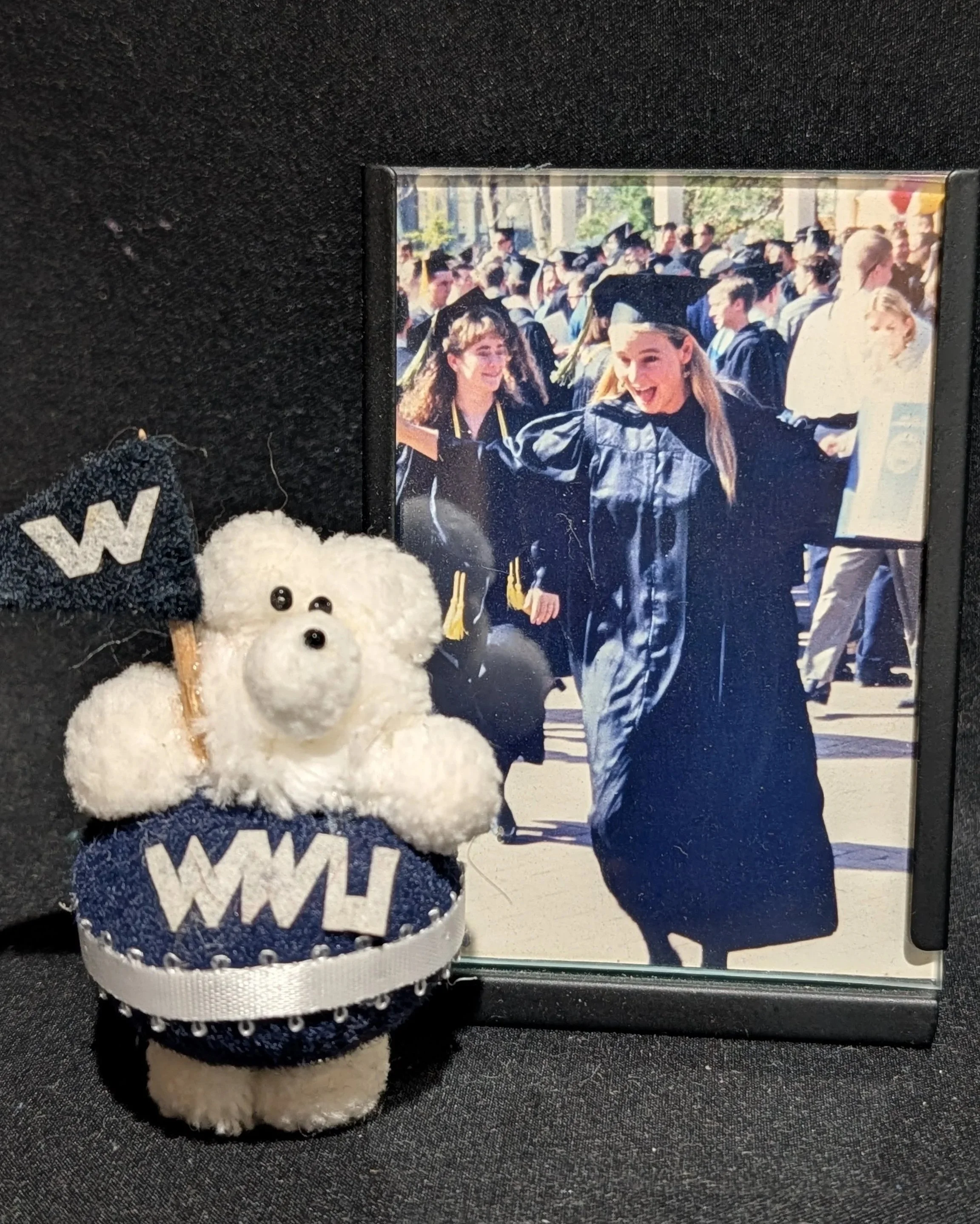 Oh, the Places You'll Go!