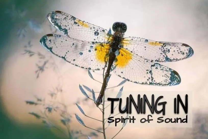 Tuning in: the Spirit of Sound 