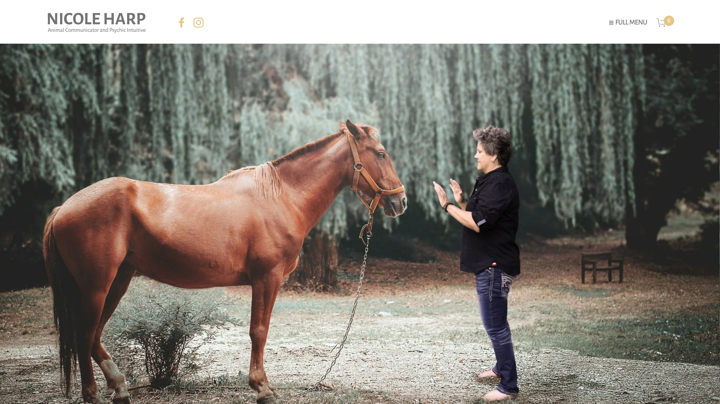 Nicole Harp - Intuitive Painter &amp; Animal Communicator