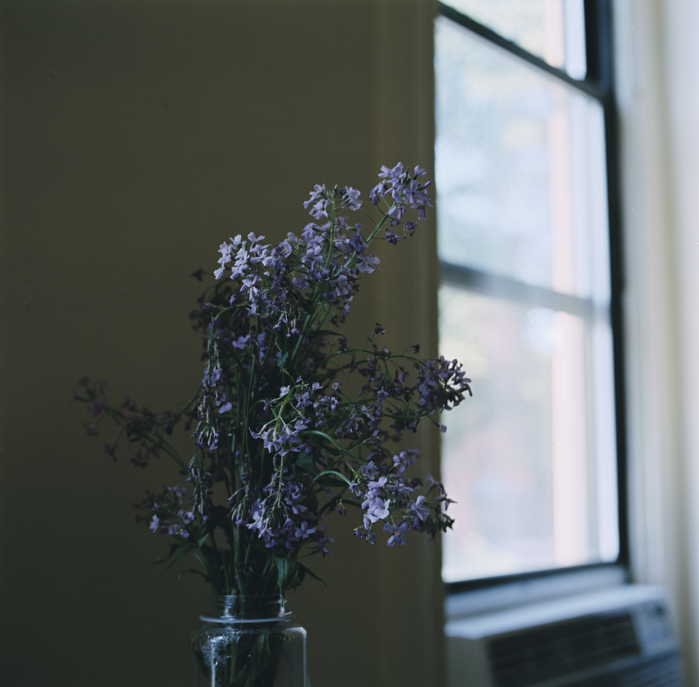 620_S1_0006.jpeg