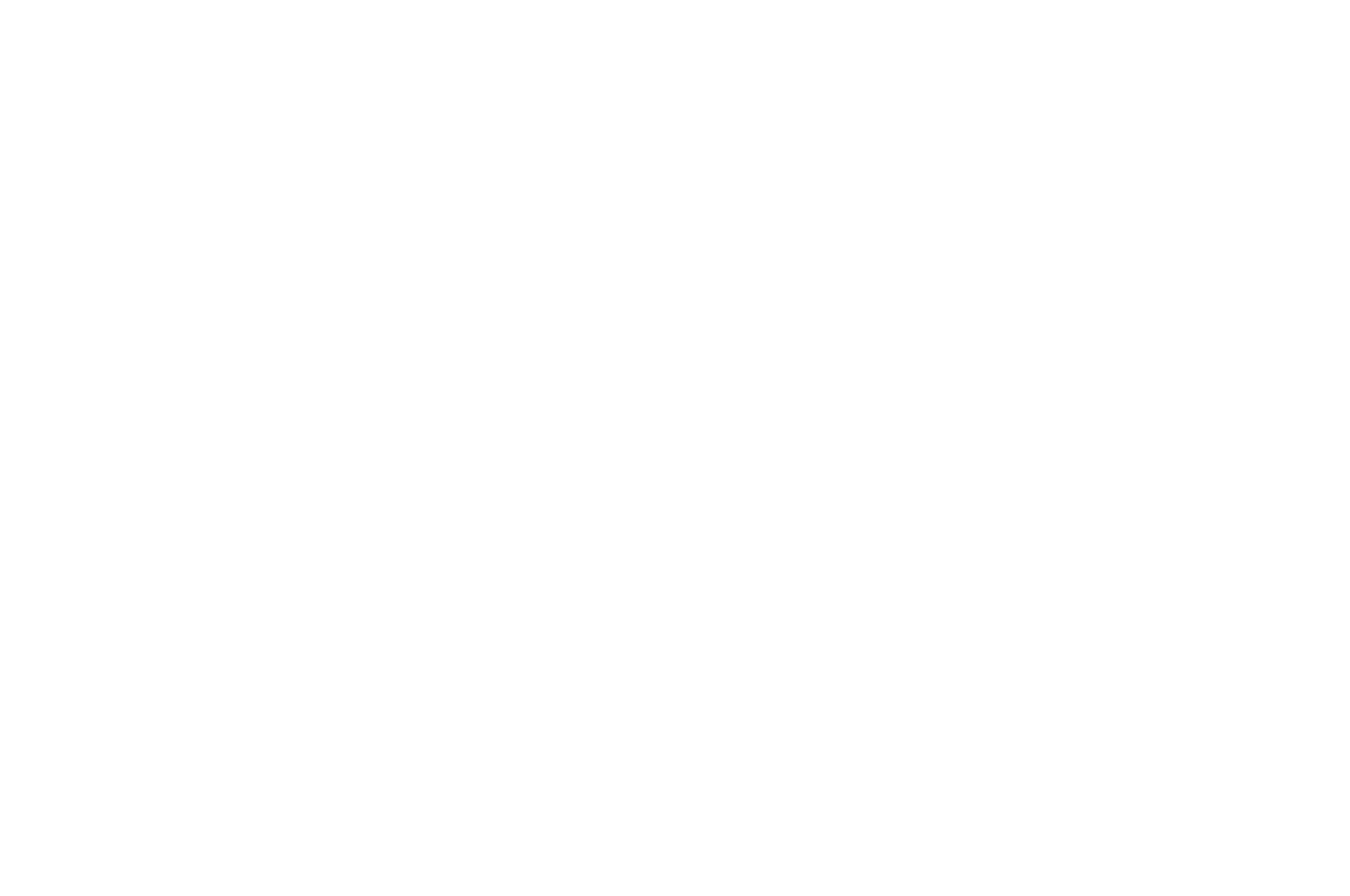 Emerging Lens Cultural Film Festival - Black Bk.png