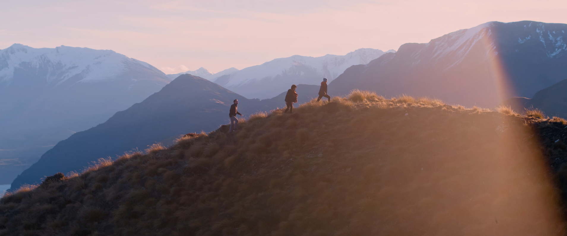 Screen Shot 2020-11-02 at 9.49.36 am.png