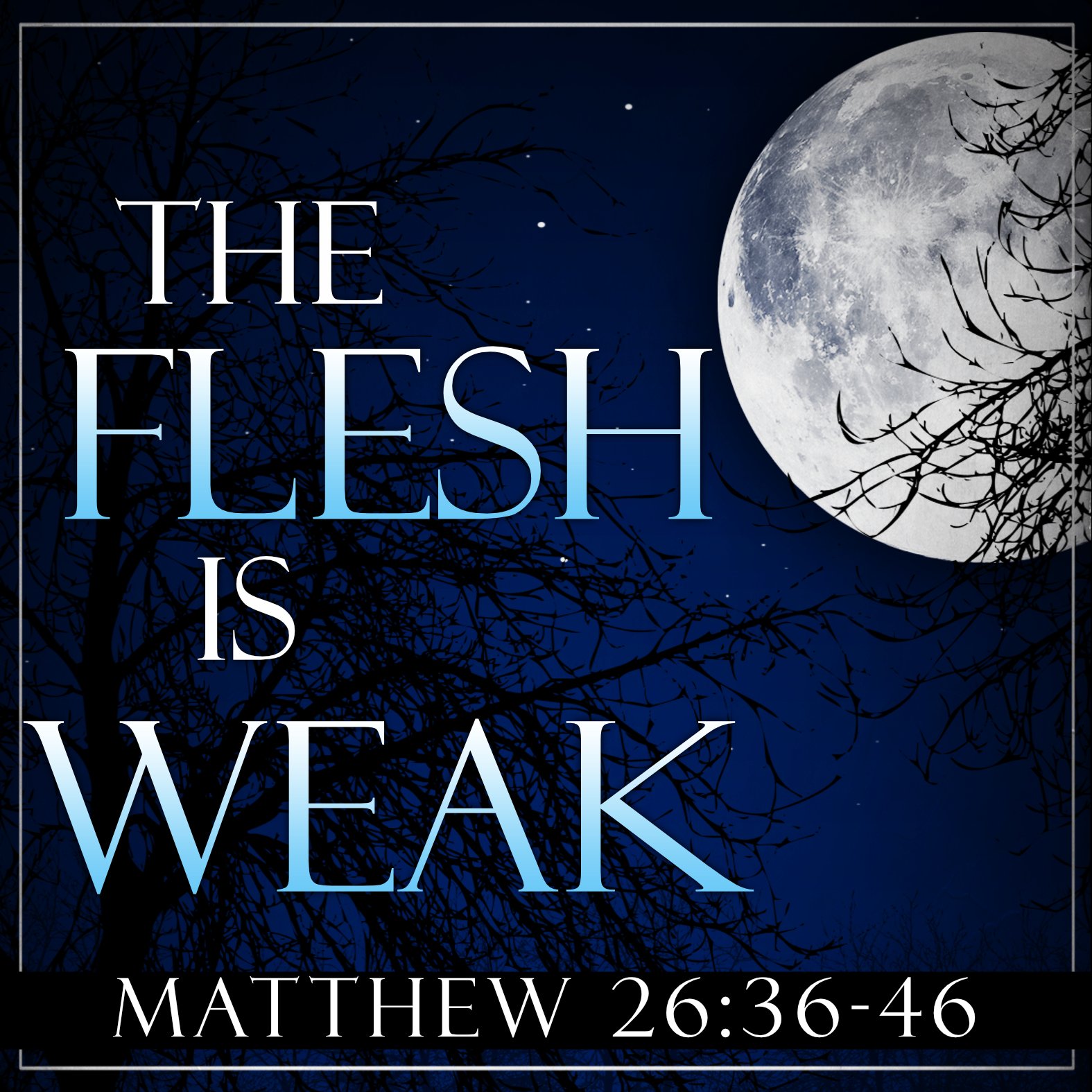 The Flesh Is Weak Matthew 26 36 46 Saraland Christians christ-in-gethsemane-matthew-26-36-46-youtube