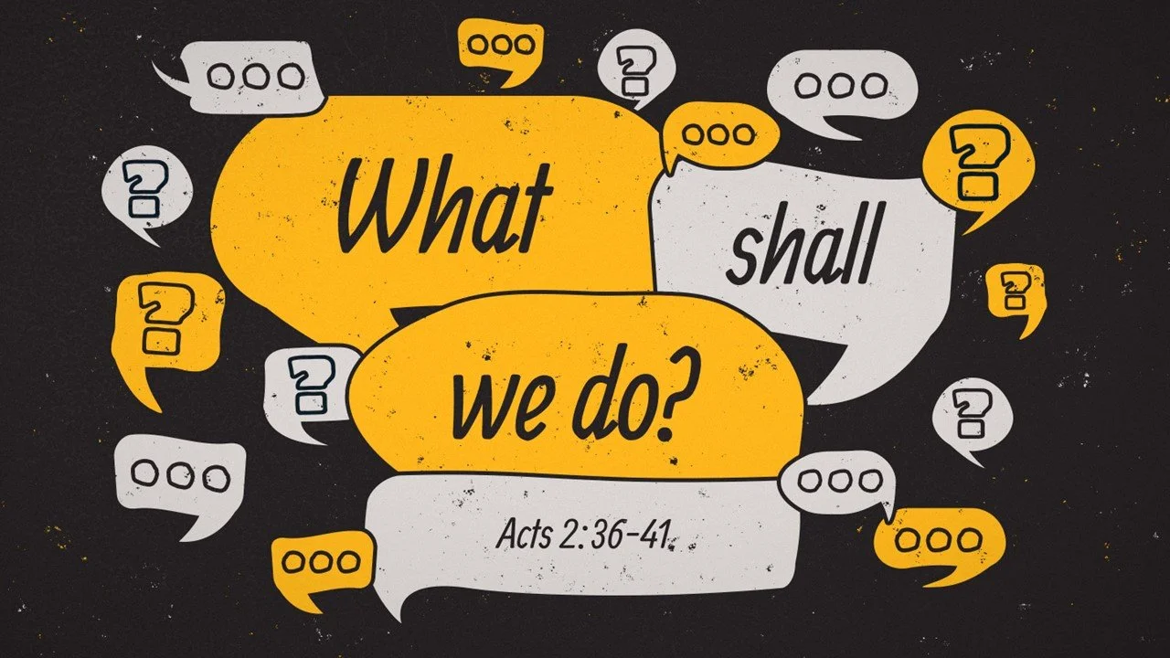 What Shall We Do? (Acts 23641) — Saraland Christians