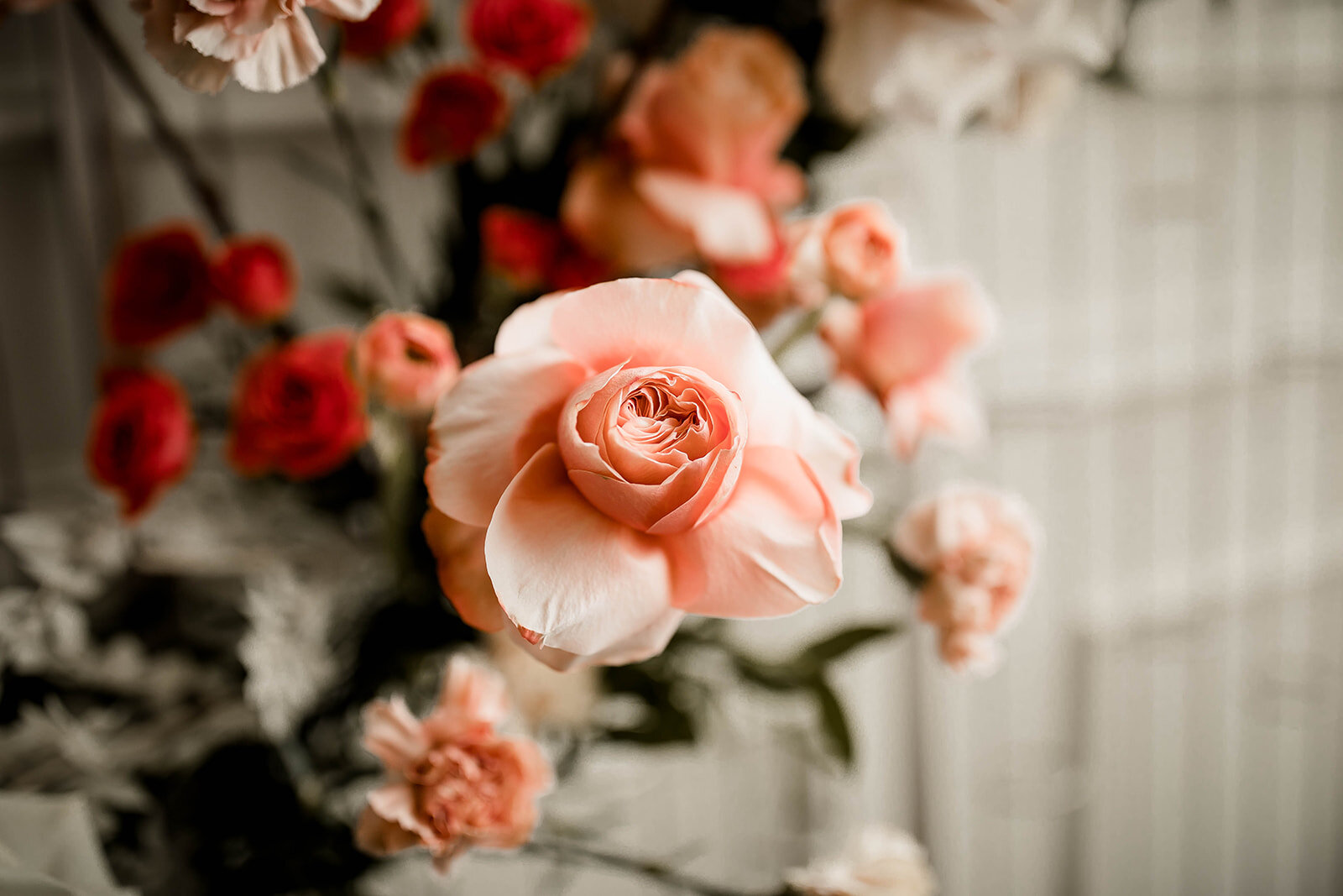 pink_rose_portland_wedding_planner