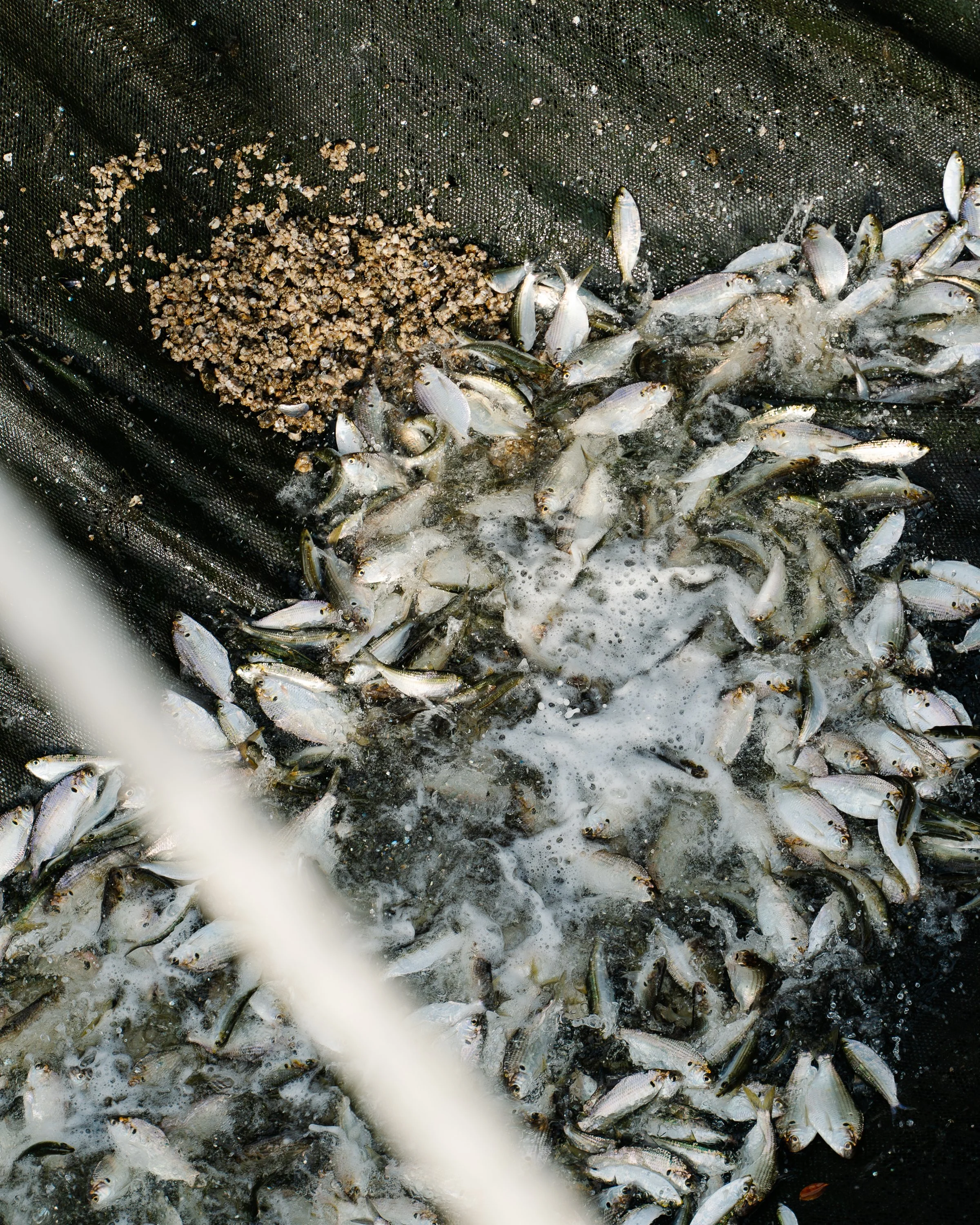 N&C-Ah Hua Kelong-Denoise-4.jpg