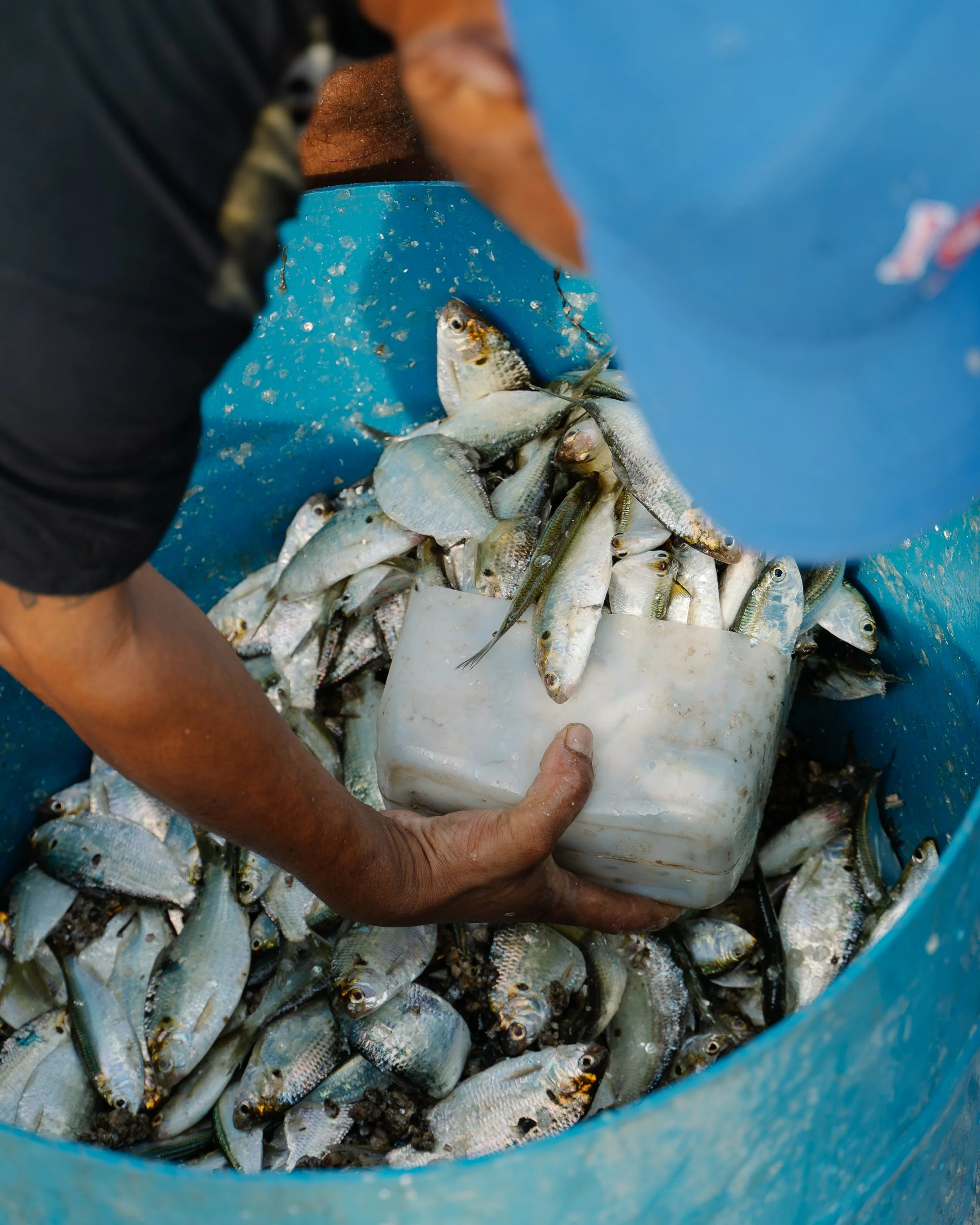 N&C-Ah Hua Kelong-Denoise-5.jpg