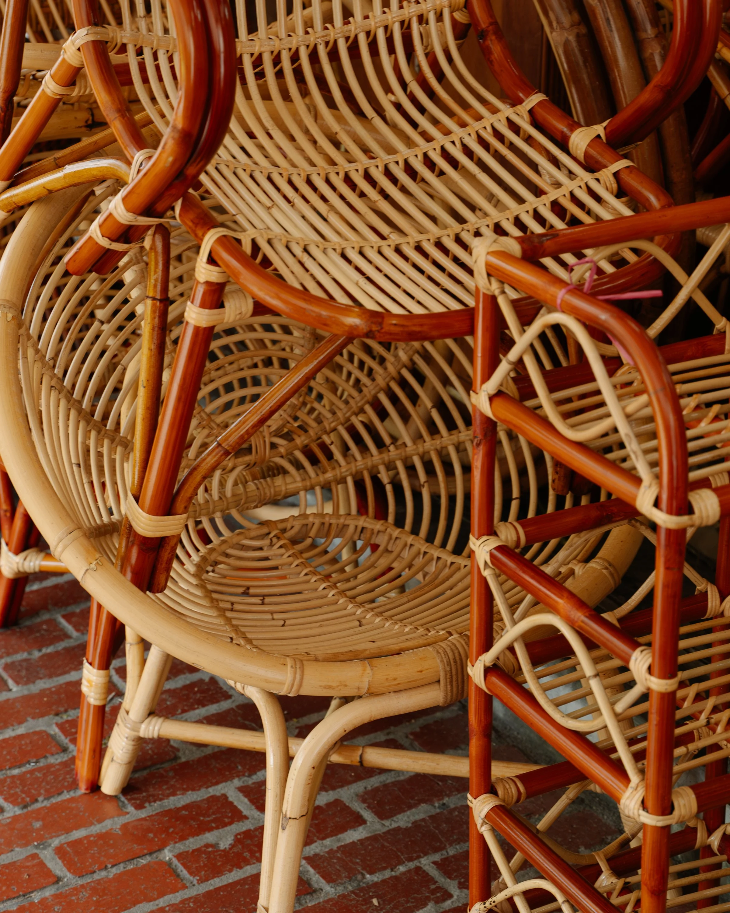 N&C-Chun Mee Lee-Denoise-10.jpg