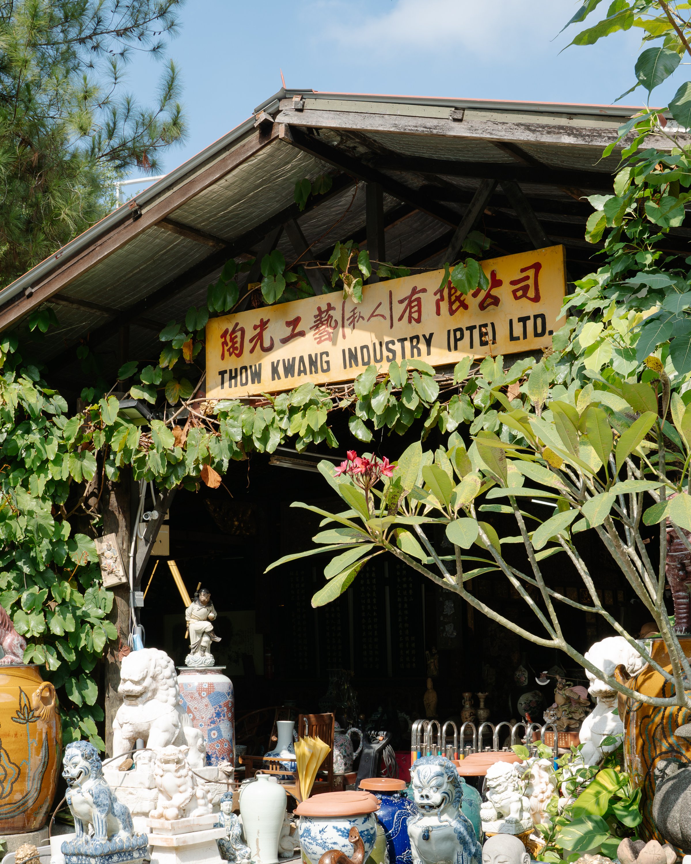 N&C-Thow Kwang Pottery Jungle-Denoise-1.jpg