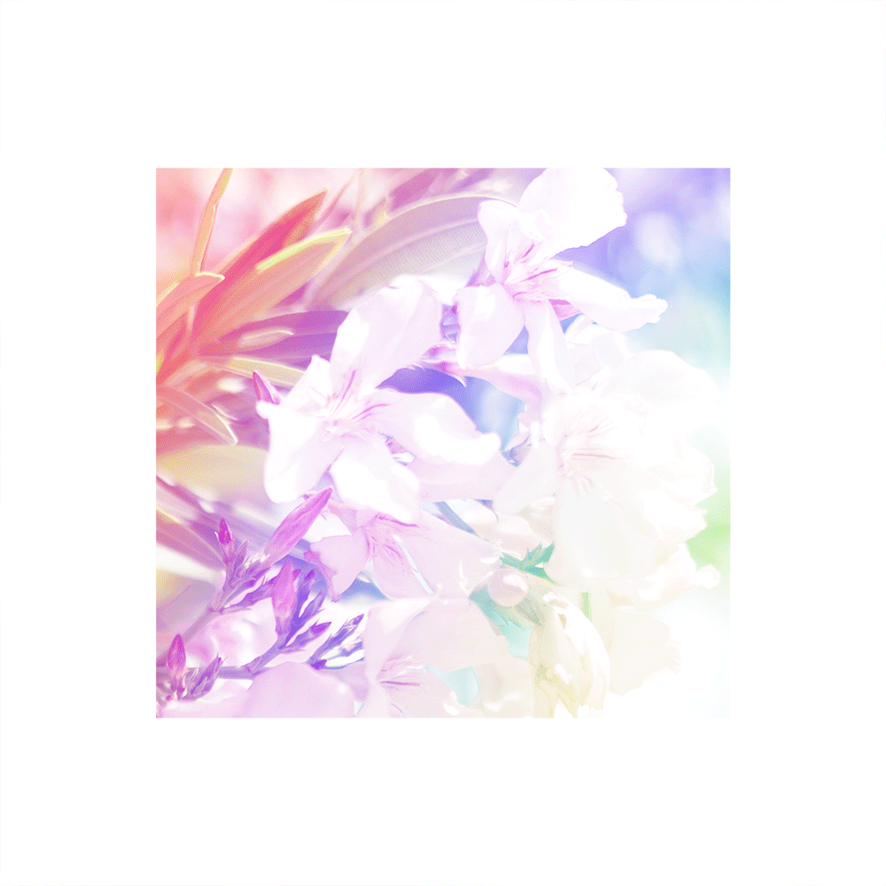 HOLO.gif