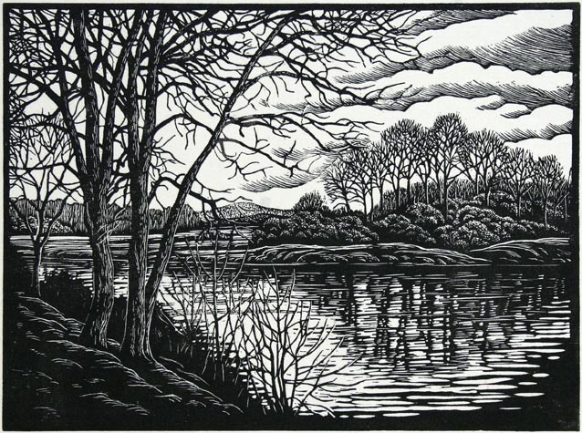 PAUL GENTRY_TREES REFLECTIONS.jpg