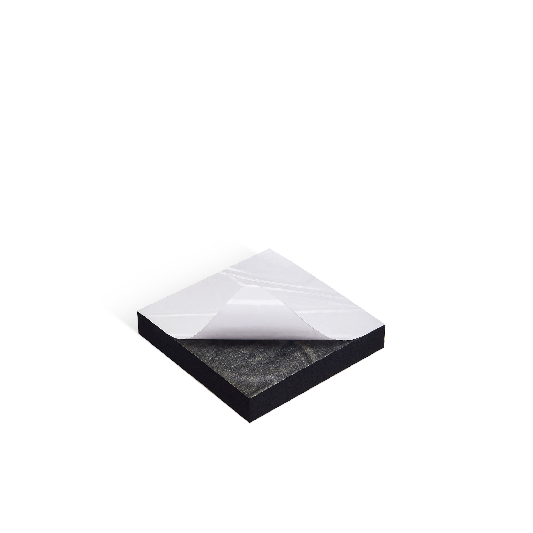 evaepdm-05.png