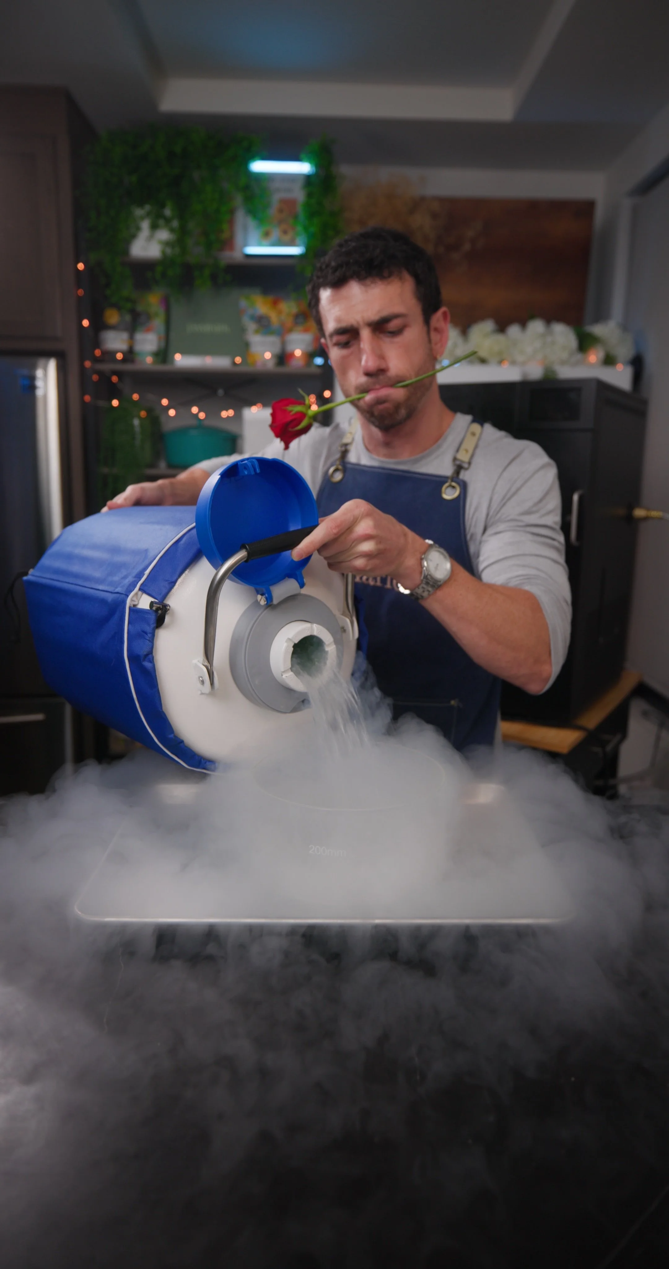 Liquid Nitrogen rose experiment.jpg
