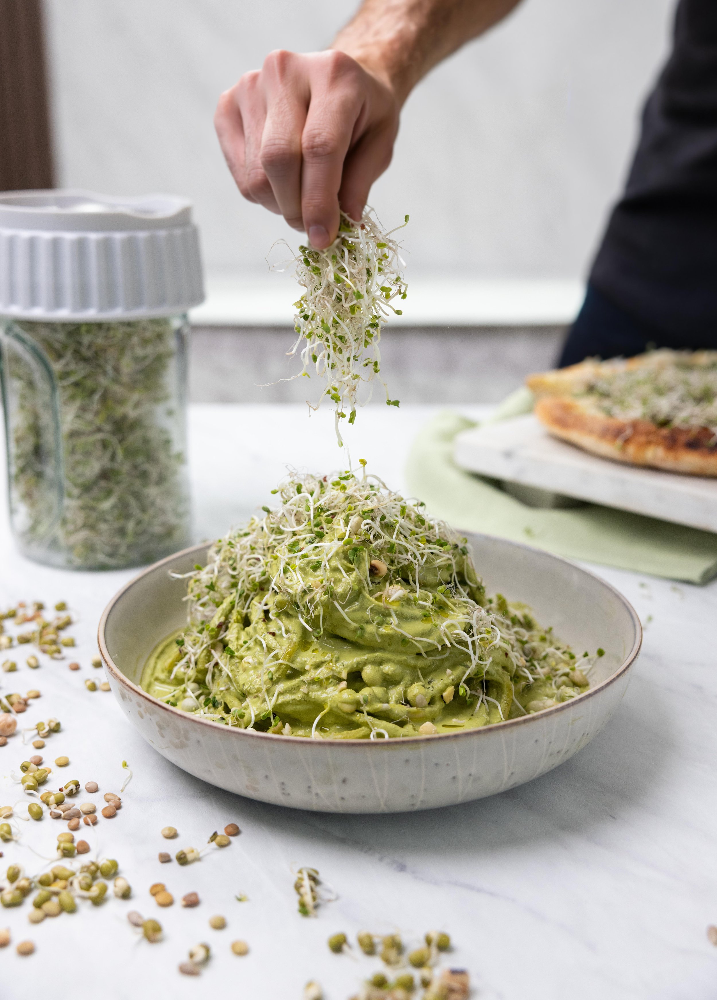 Sprout Cookbook Recipes