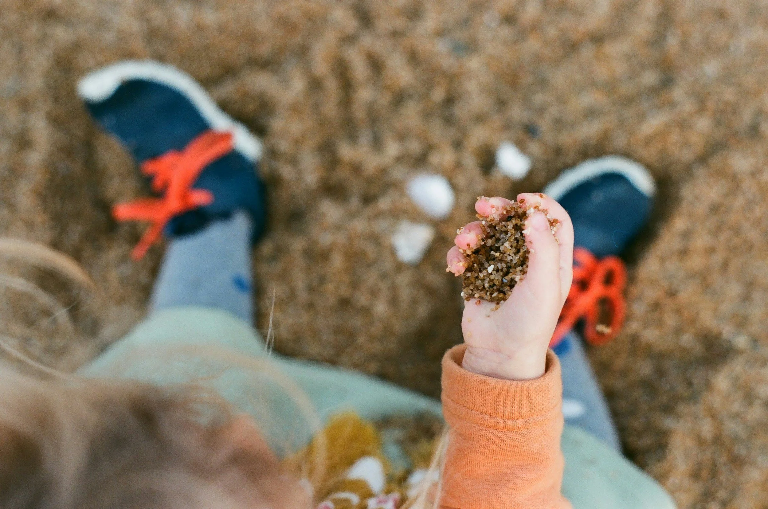 unsplash-image-shEaeiDQcn8.jpg