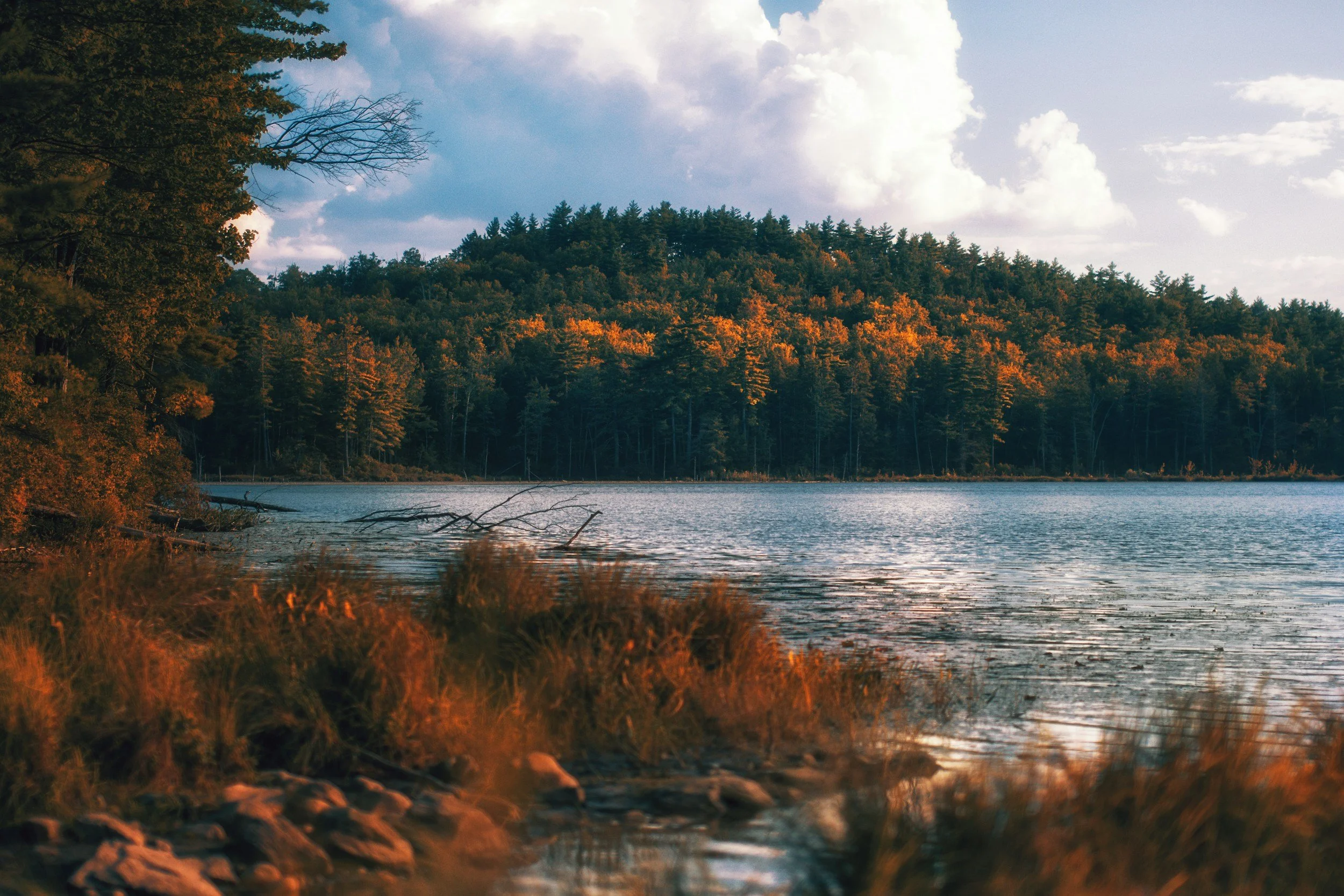 unsplash-image-WbVaPKmxxP0.jpg