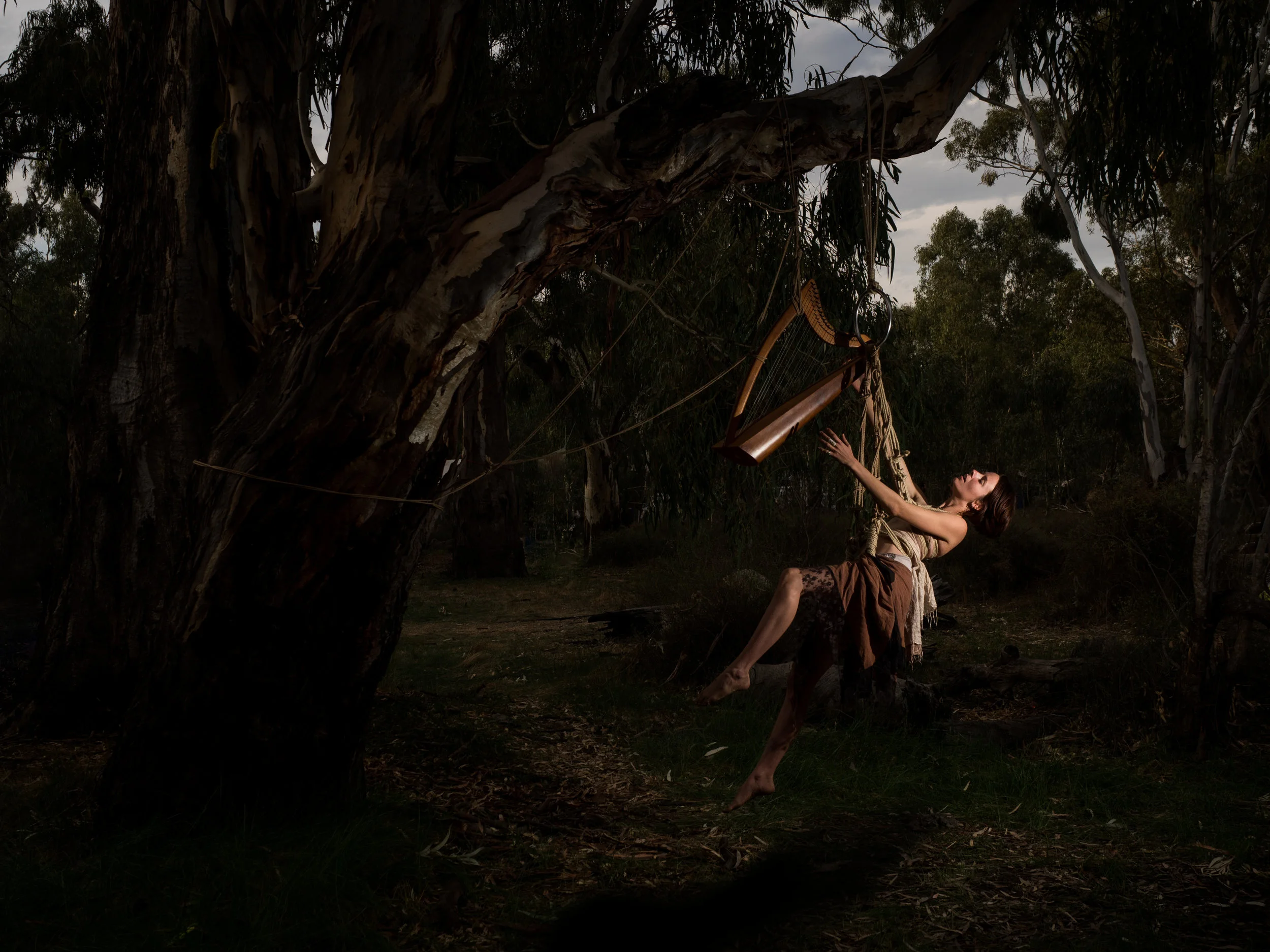 P4170059 - shadow under.jpg