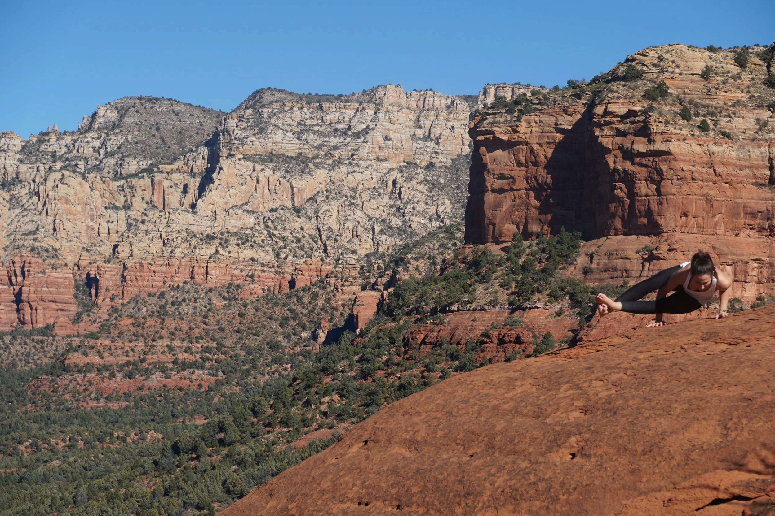Introductory Arm Balance Poses