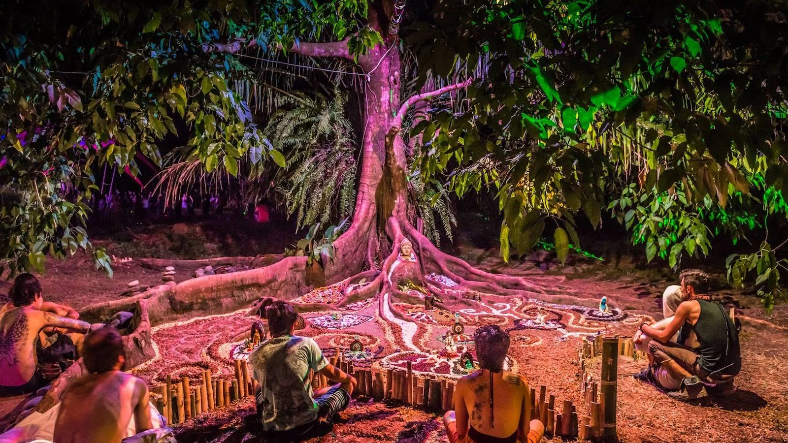 I Did “Psychedelic First Aid” at a Festival in Costa Rica
