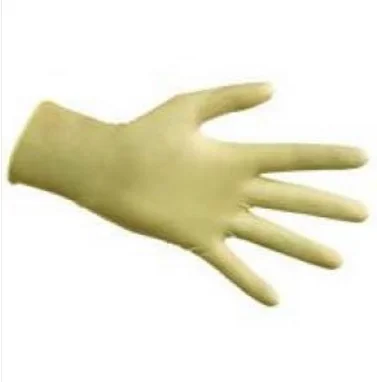 Vinyl Gloves - Powder Free