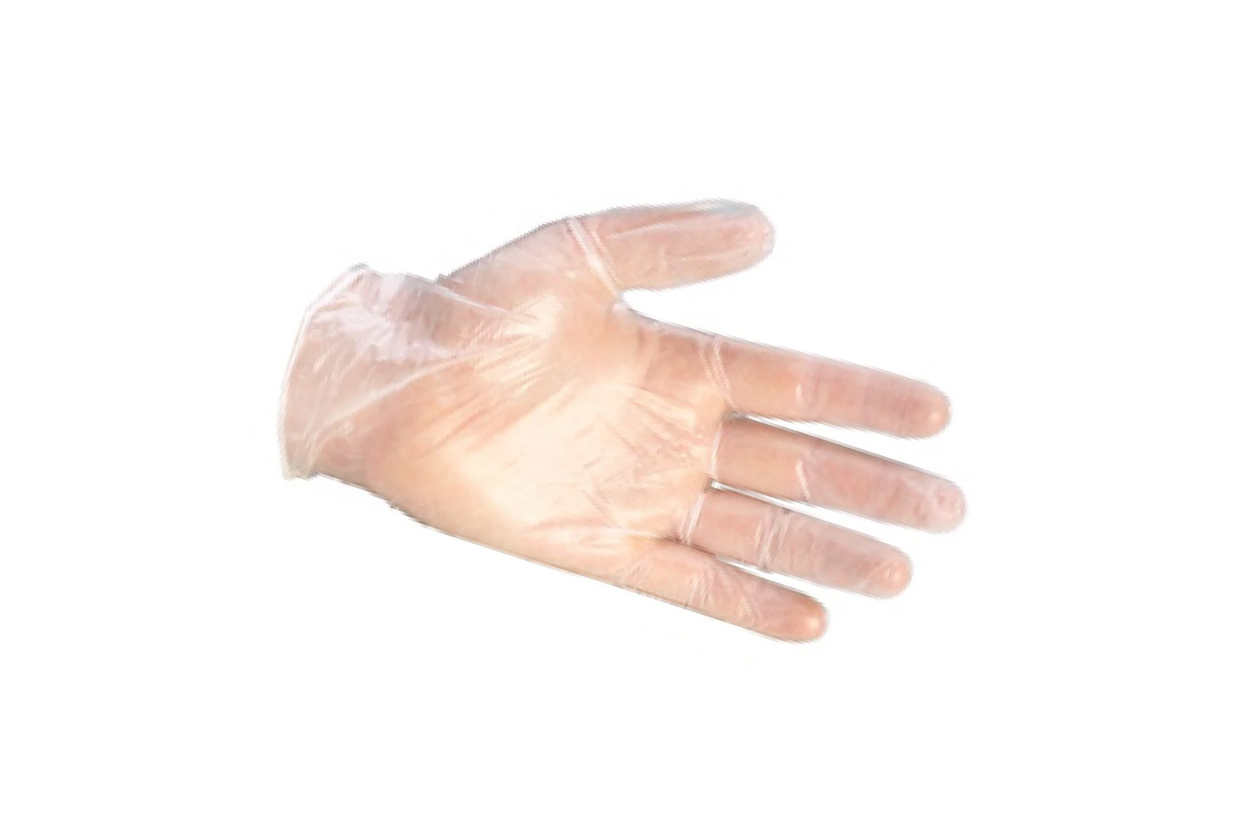 Vinyl Gloves - Powdered