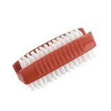 Nail Brush Plastic