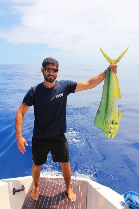 Aloha Mini Mahis (by Conrad)