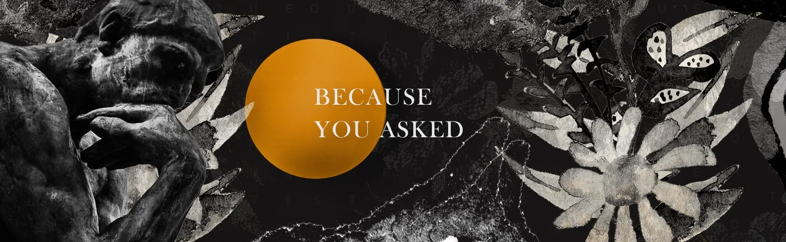 Because You asked.jpg.jpeg