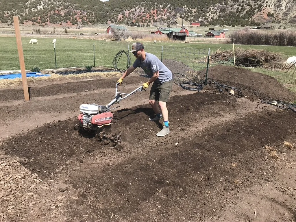 Preparing Your Garden for the Upcoming Season