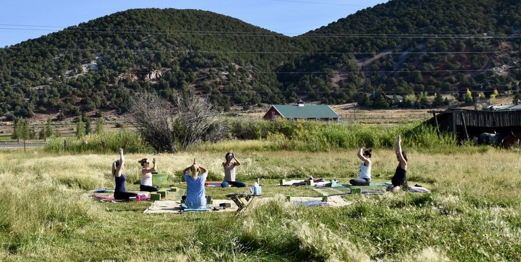 Farm Yoga.jpeg